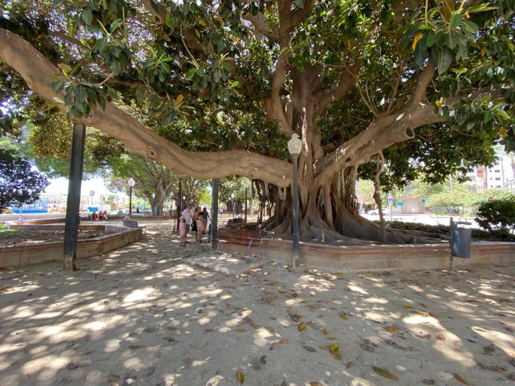 Tropical Loft Apartment อาลิกันเต ภายนอก รูปภาพ